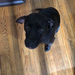 Meet your Posher, Jesse